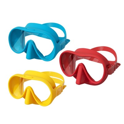 AI Smart Glasses